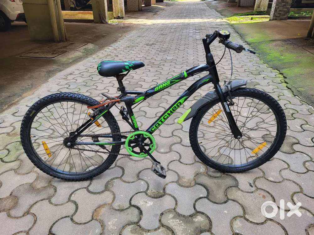 Gang Bicycle Catcher