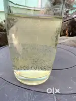 LIVE FISH FOOD  MOINA