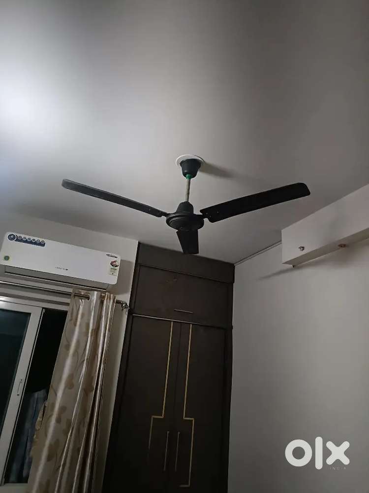 Ceiling Fan