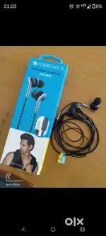 Zebronic headphones