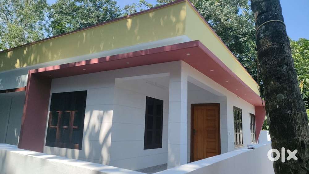 House and plot for sale