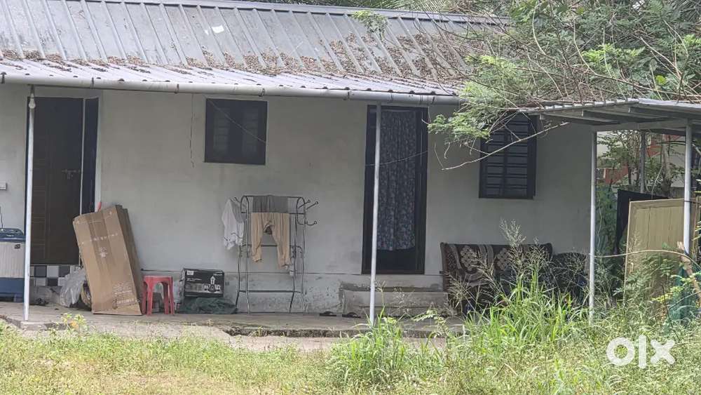 8 cent plot വീട് ഉൾപ്പെടെ 13 ലക്ഷം രൂപ