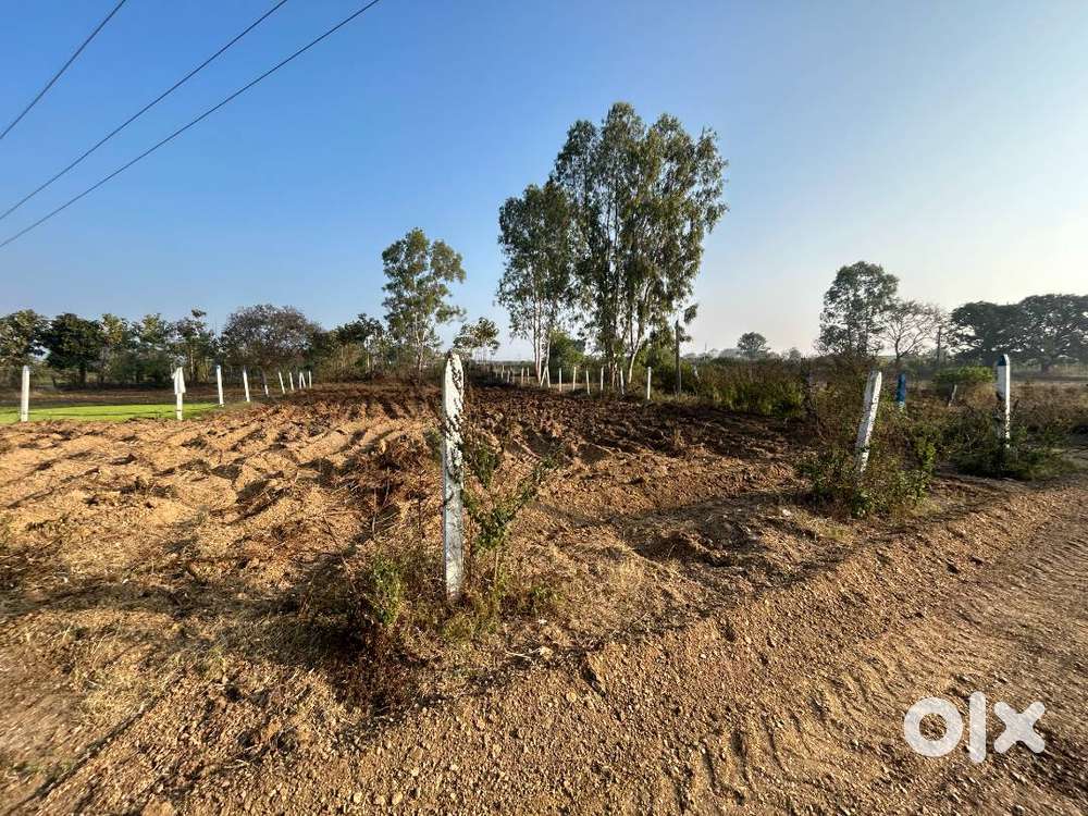 11.25 Gunta Land for Sale in Adivimasjid near Karkapatla