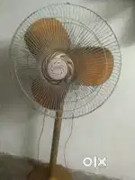 FARATHA FAN