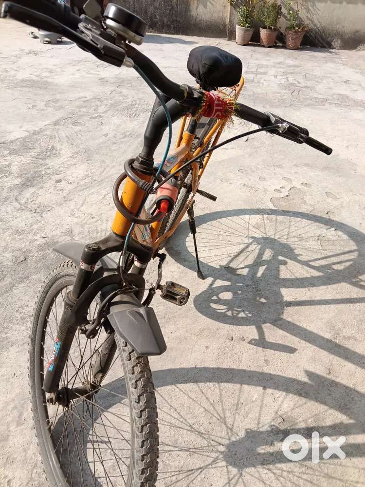 1 year old yellow colour, and also sheet cover