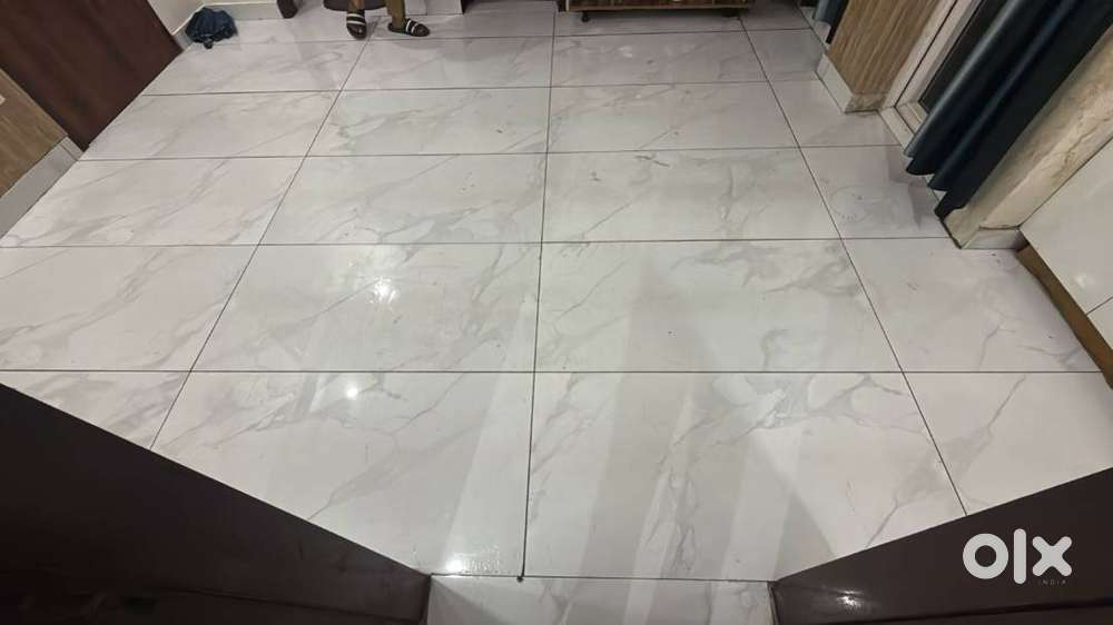 one working or studying girl /lady required on sharing basis