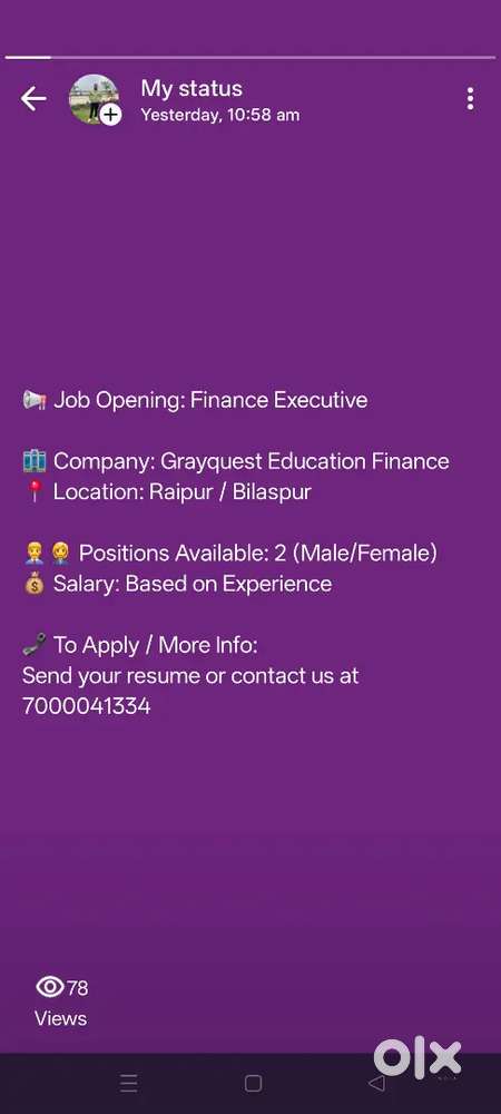 Finance Executive