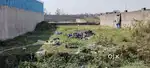 Vedvyas brahmani tarang punjabi colony 6 decimal plot total 2610 sqft
