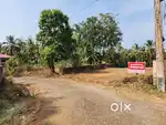 Thiruvazhiyode 25, 36, 40സെൻറ് പ്ലോട്ടുകൾ വിൽപ്പനക്ക് (NOT BROCKER)