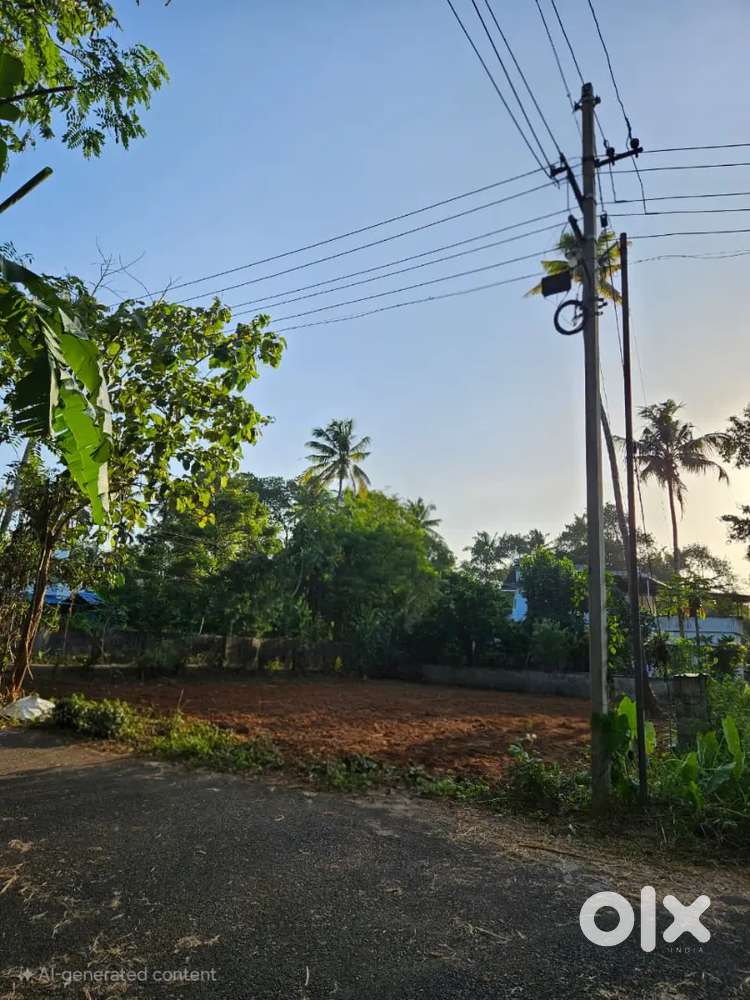 10.5 cent in Ashtamichira Marekad