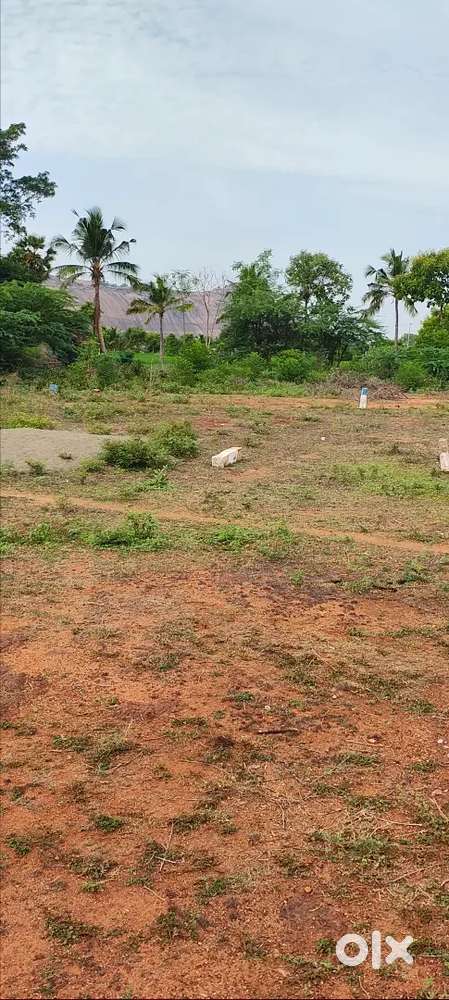Land for sale