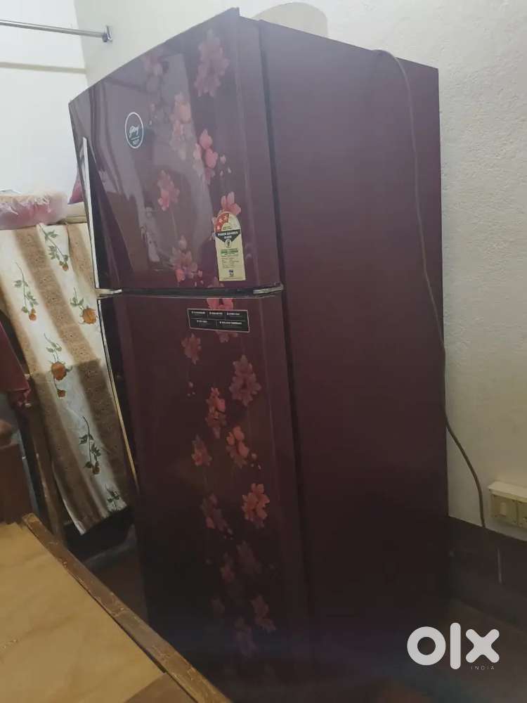 New fridge