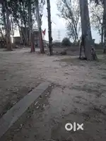 Amritsar Kulcha banana ana chahiya usko