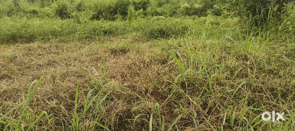 Pulpally 2 km 10 cent house plot for sale