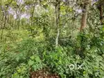 Plot for sale in venmoney