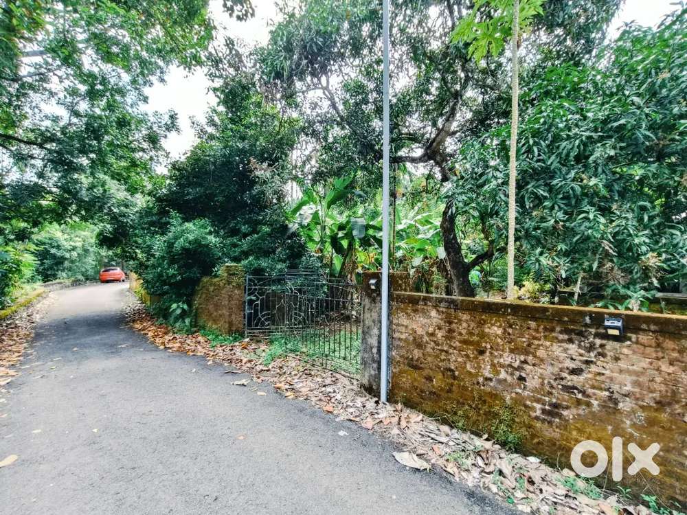 32 Cent Aluva, Thiruvalloor. Tar road frontage.Near bus stop 700 mtr.