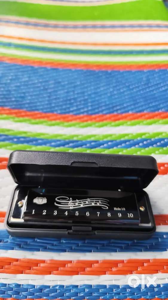 Harmonica mouth organ