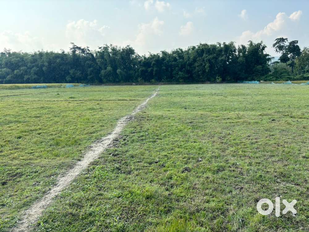 Land for sale