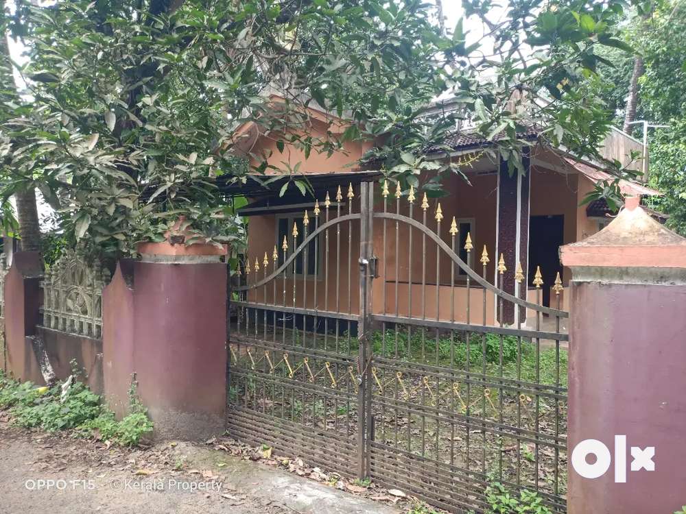 9 Cent Land with old house Olari Chettupuzha Thrissur