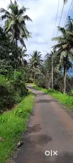 House And 20 Acre Plot For Sale, Alakode, Kannur, Kerala
