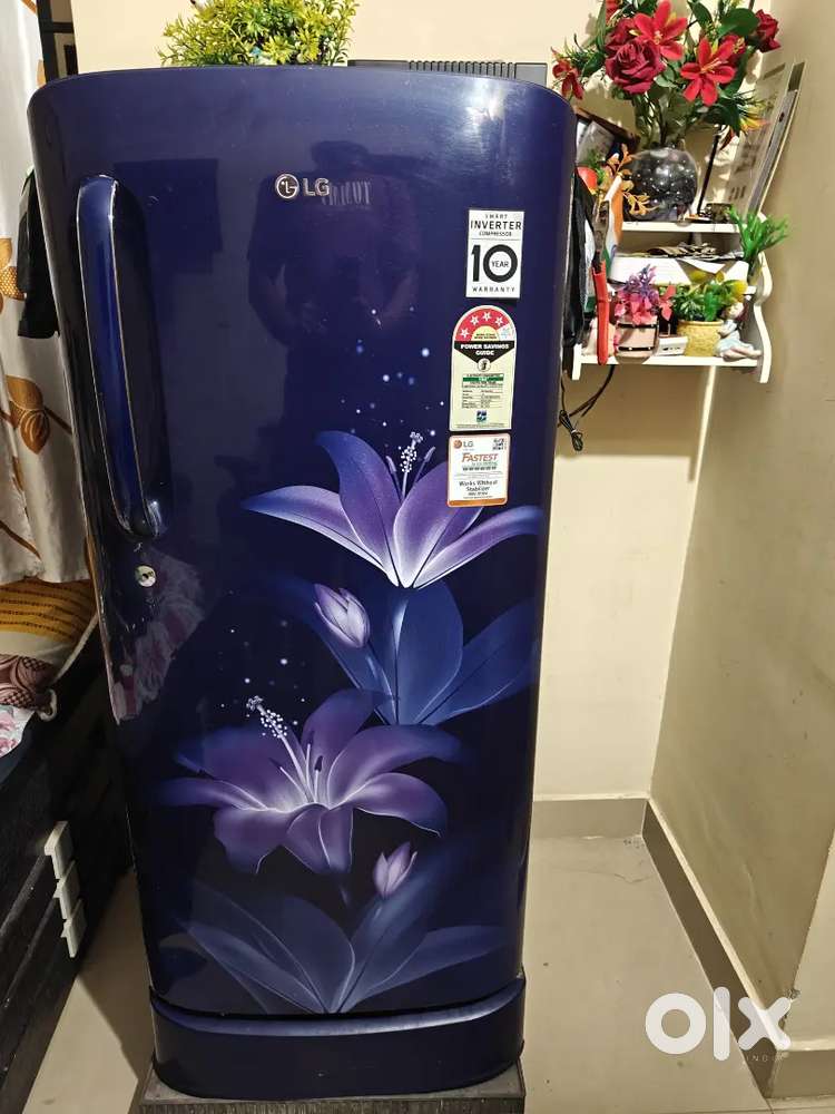 LG 185L, 4 Star, Smart Inverter Compressor, Single Door Refrigerator