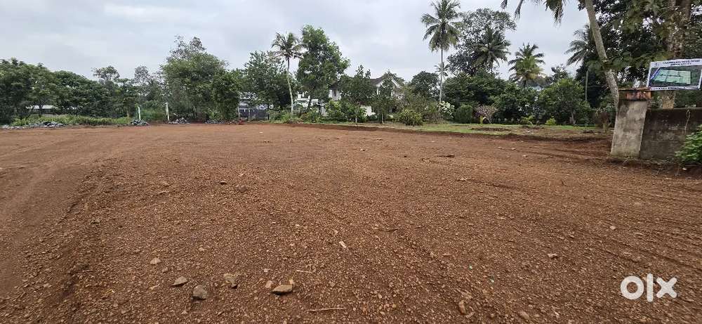 Pullad near house plot for sale 8,10,12,15 land free from flood etc.
