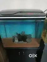 Imported RS aquarium with cabinet for sale