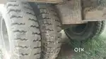 Only tirolly