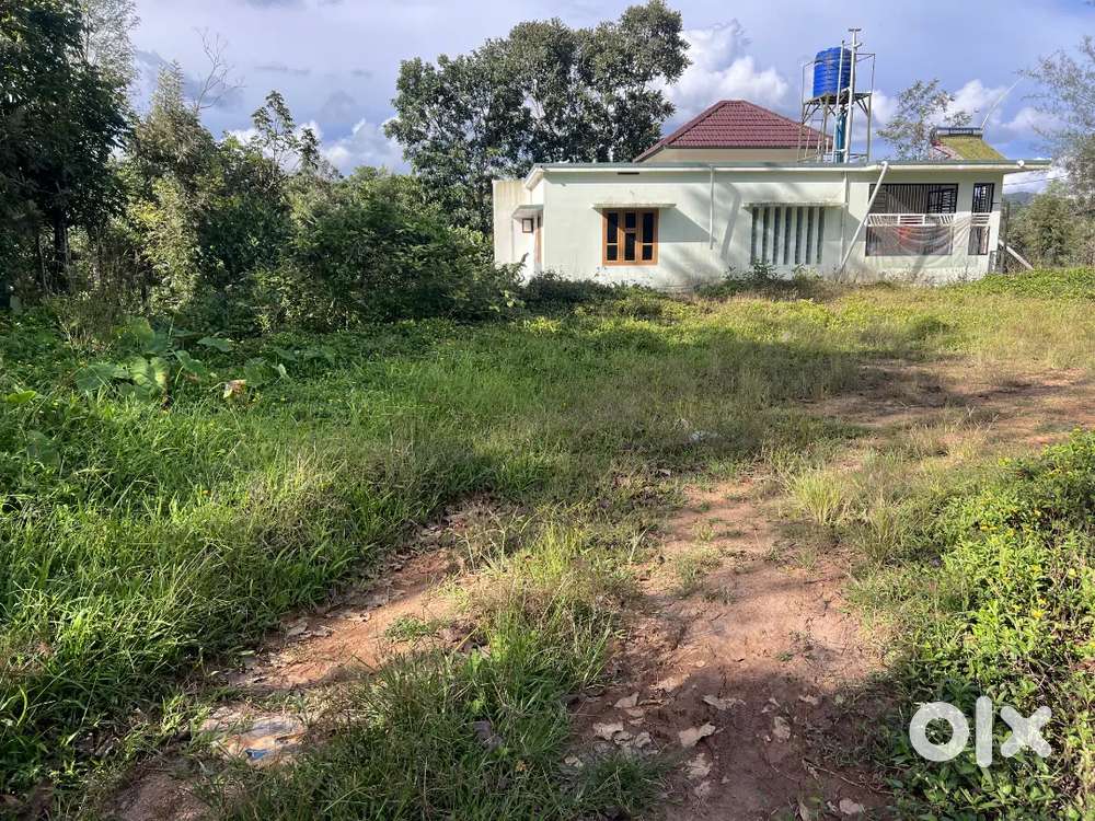 10 CENT HOUSE PLOT FOR SALE IN MANANTHAVADY