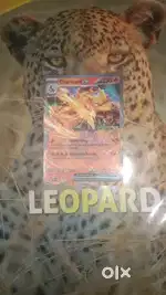 Pokemon card