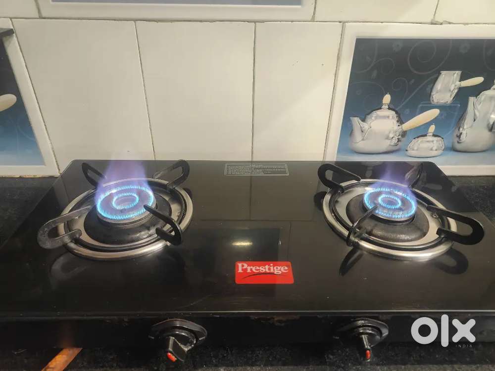 Two Burner Gas Stove