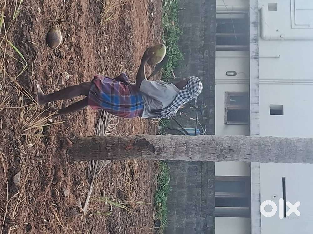 Plot for sale at vazhayila peroorkada