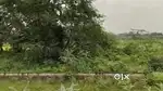 लालगंज कानपुर हाइवे पर जमीन लेने के लिये संपर्क करे