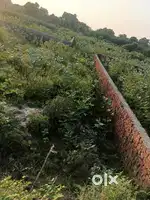 18x50 sainik vihar Devi road Agra