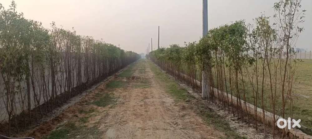 Kiraye se b sasta plot noida ncr m best investment plan pkki registry