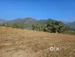 Approx 2 two bigha land for sale near raipur stadium