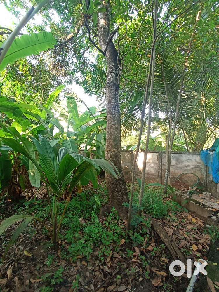 12.25 cent plot and house for sale esharamankalam