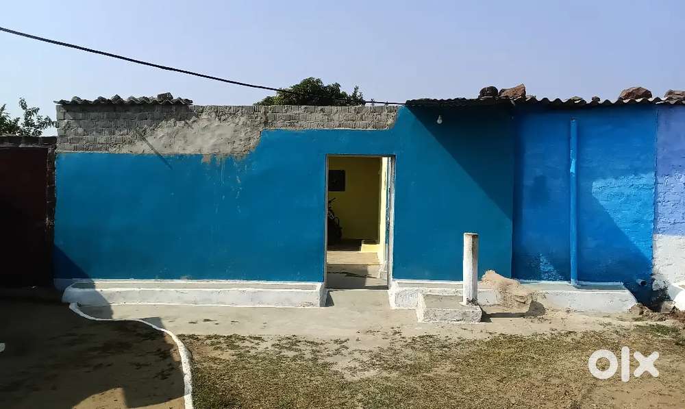 Danptra wala makan hain. Rajistry wala nhi hain. Adampur Chhawani main