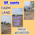 25 cents farm land for sale