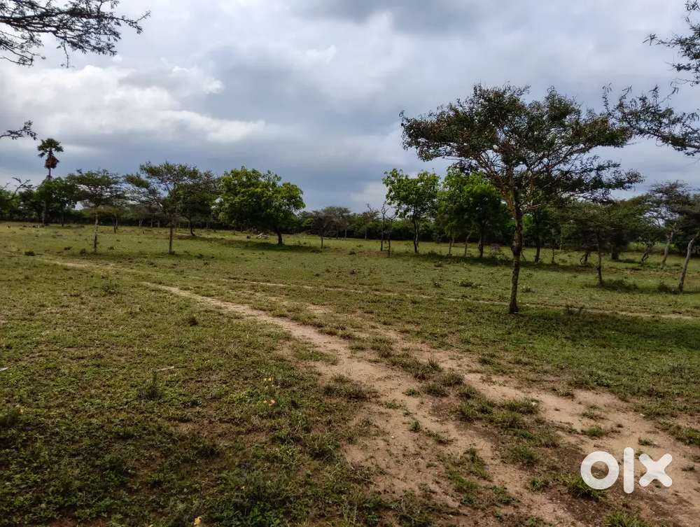 5 ஏக்கர் விற்பனைக்கு