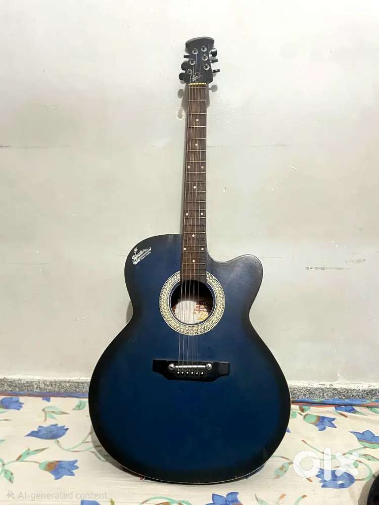 Premium guitar one year old