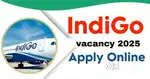 Ground Staff jobs in indigo Airlines urgent hiring apply