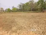Miyadi land for sale at Tezpur opposite to RUPAM PETROL PUMP.