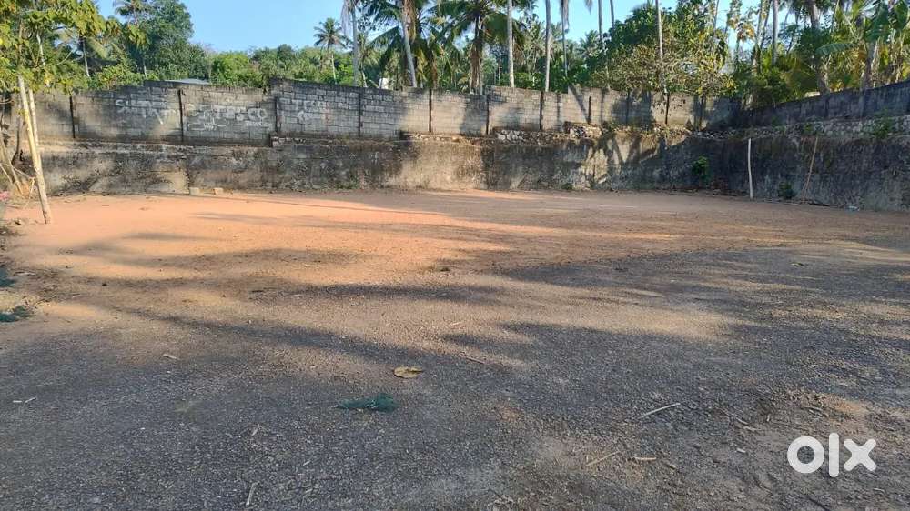 Selling a freehold land