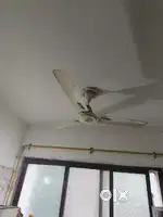 Celling Fan