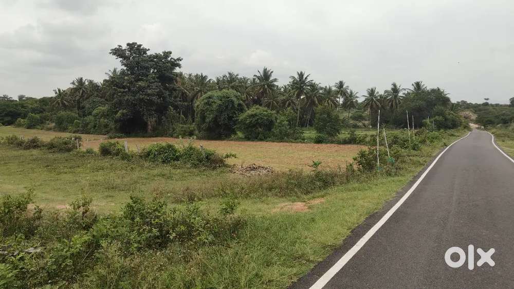 Agriculture farm land for sale near gowribidanur