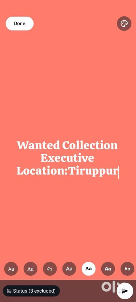 Collection Executive