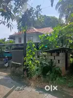P G.  hostel for ladies  Indira Gandhi dental college Nellikuzhi