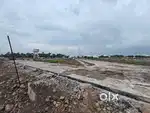 Plots available