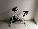 Exercise cycle: PowerMax BS 140